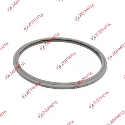 Λάστιχο χύτρας τύπου FISSLER PREMIUM 6L 22cm