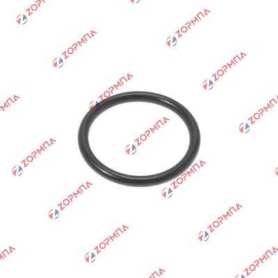 Φλάντζα κεντρικής βαλβίδας χύτρας τύπου FISSLER