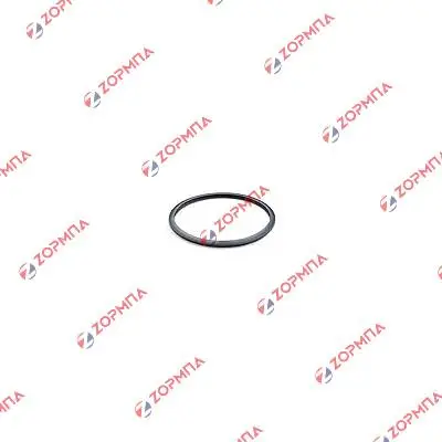 Λάστιχο χύτρας MONIX 9L 24cm MINUTE, QUICK, VELOCE, VITESSE Original