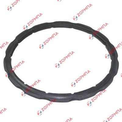 Λάστιχο χύτρας ταχύτητος 30cm IZZY BIO