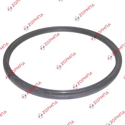 Λάστιχο χύτρας ταχύτητος 30cm IZZY BIO
