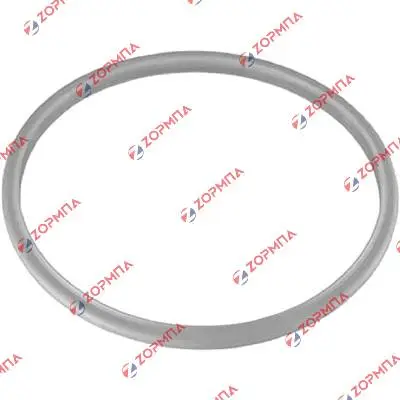 Λάστιχο καπακιού χύτρας  WMF 6L 20cm Original 6068839990