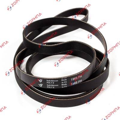 Ιμάντας ραβδωτός PH 1965 / 1965 H8 στεγνωτηρίου ρούχων BEKO / ESKIMO / BOSCH / SIEMENS 00647715, 481235818154, 51X5566, 57X0313